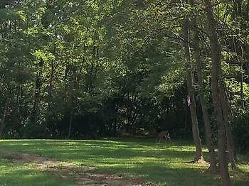 The Cabins And Cottages At Shale Lake Williamson